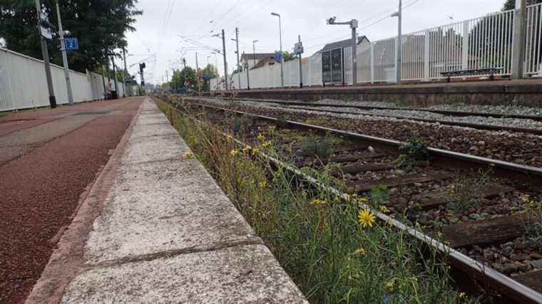 SNCF is committed to being cleaner to clean its railway lines