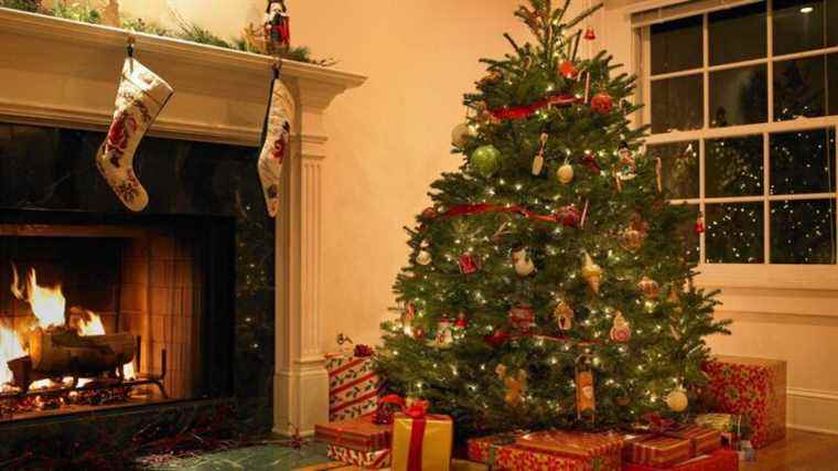 Selestat or not?  Where does the oldest Christmas tree come from?