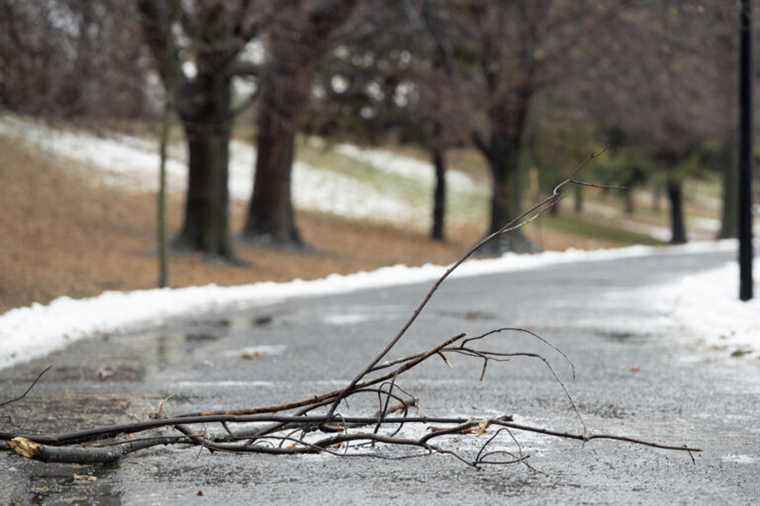 Strong winds |  Power outages expected on Saturday