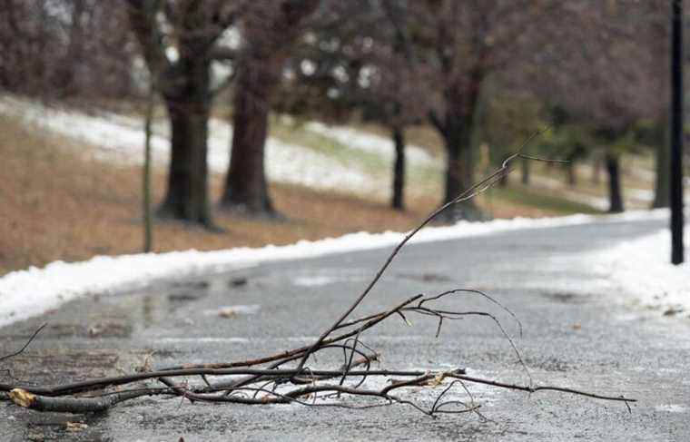 Strong winds: Tens of thousands of homes without electricity in Quebec on Saturday