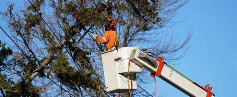 Strong winds: nearly 70,000 homes without electricity