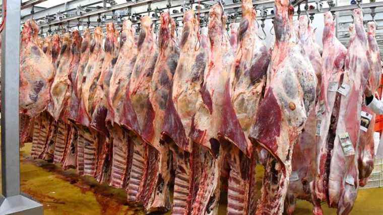 The Saint-Jean-Pied-de-Port slaughterhouse sued after an industrial accident