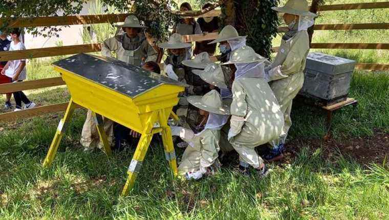 The apiary of the Manzac sur Vern school