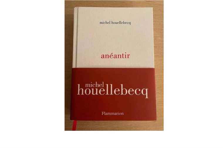 The new Michel Houellebecq will be called annihilate