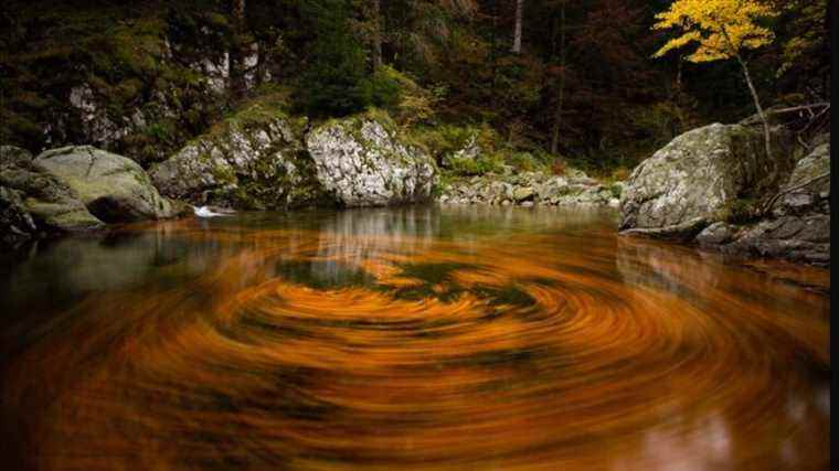 The wild Ardèche by Simon Bugnon, photographer