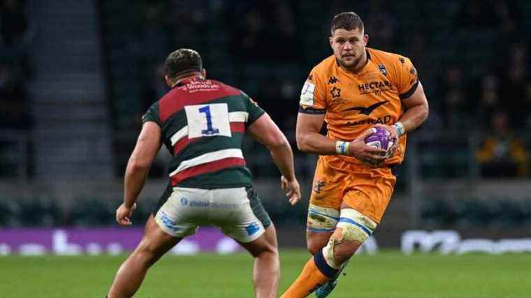 Top 14 – Paul Willemse extends in Montpellier