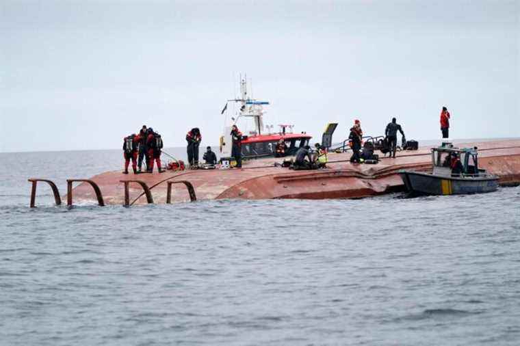 Two sailors arrested after fatal cargo collision in Baltic Sea