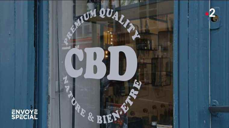 VIDEO.  CBD madness