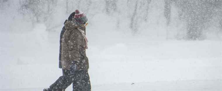 Weather forecast: a white or brown Christmas this year?