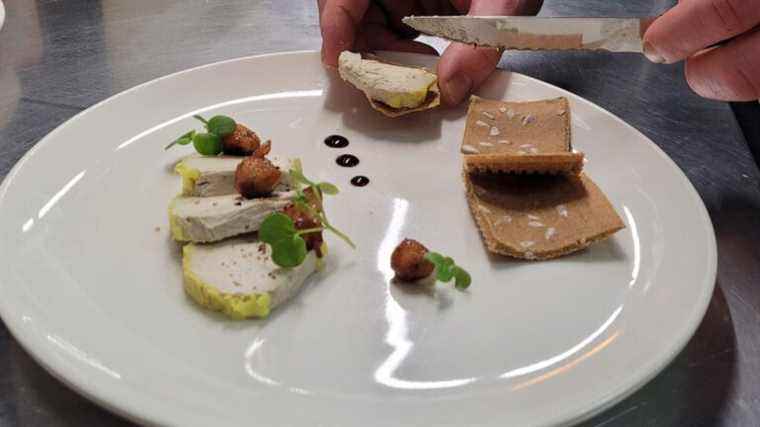 What are the alternatives to foie gras worth?