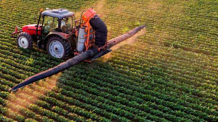 Where have the 800 million euros of the anti-pesticides plan gone?