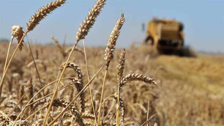 a new crop insurance system soon?