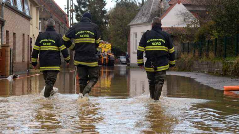 an octogenarian discovered drowned in her flooded cellar