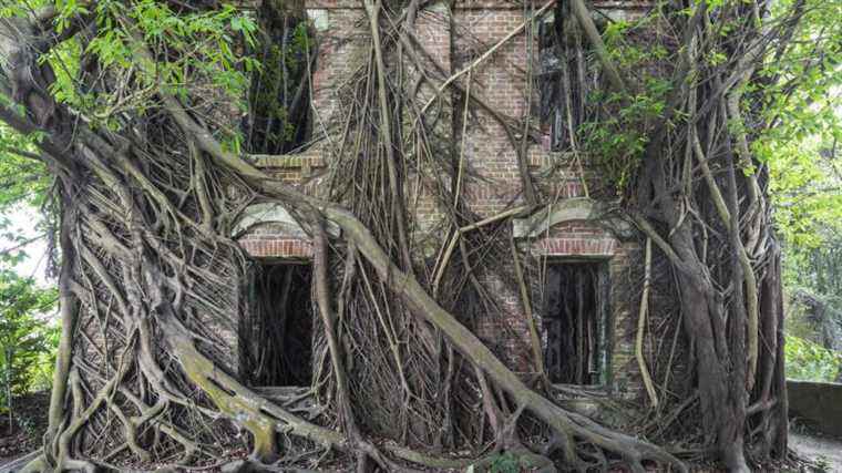 discovering places reclaimed by nature