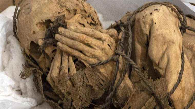 discovery of an exceptional mummy in the region of Lima