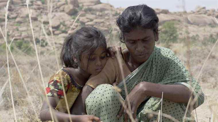 his film “Pebbles” is in the running for an Oscar