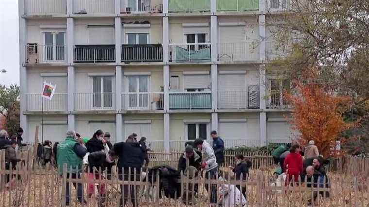 in Rennes, an eco-citizen project to green up urban areas