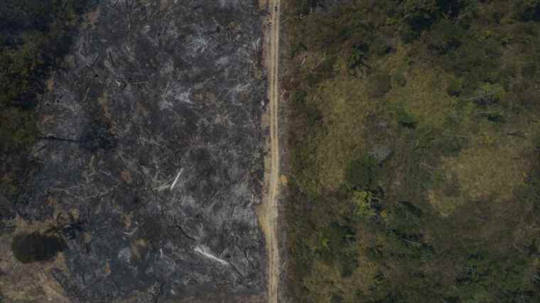 in the tropics, deforestation and climate change threaten the safety of outdoor workers