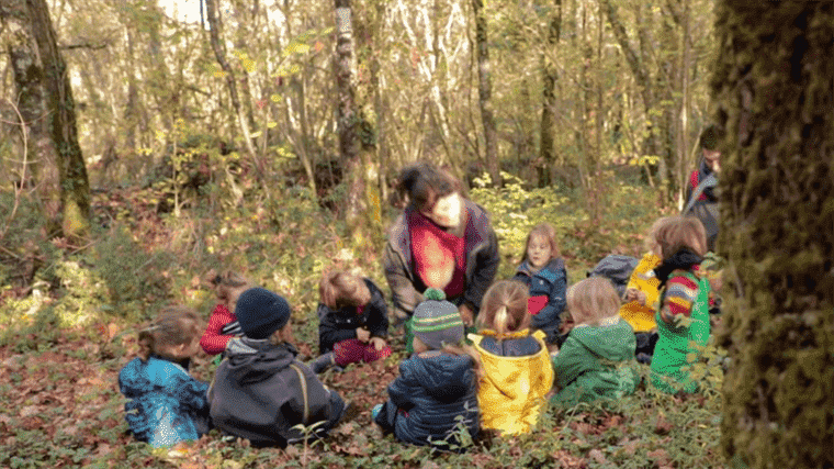 kindergarten in the forest