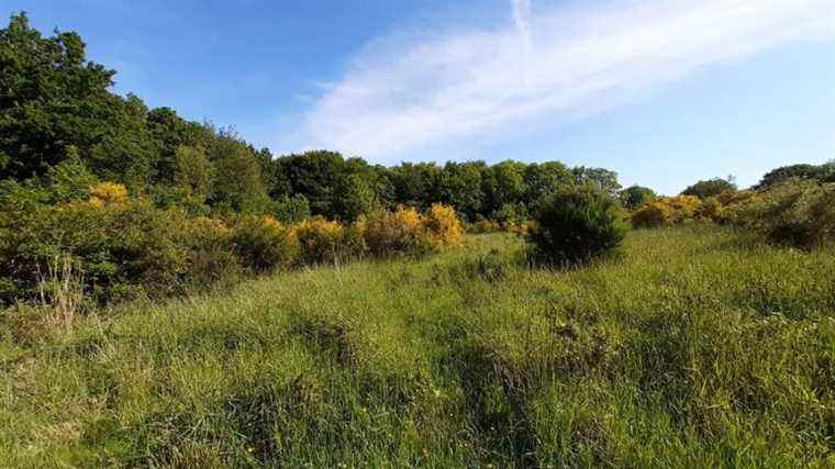 nearly 500 hectares of agricultural wasteland to “reclaim”