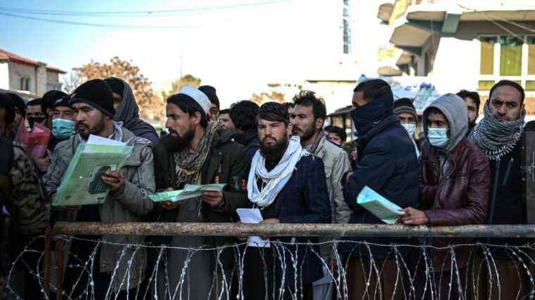 the Taliban start issuing passports again