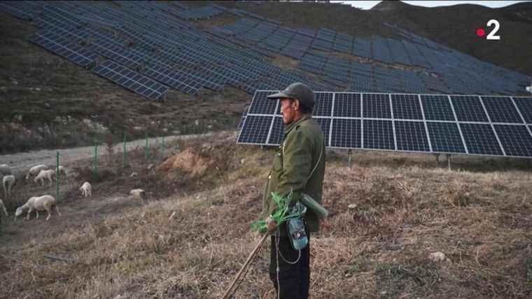 the anger of the peasants, forced to cede their land for the construction of solar panels