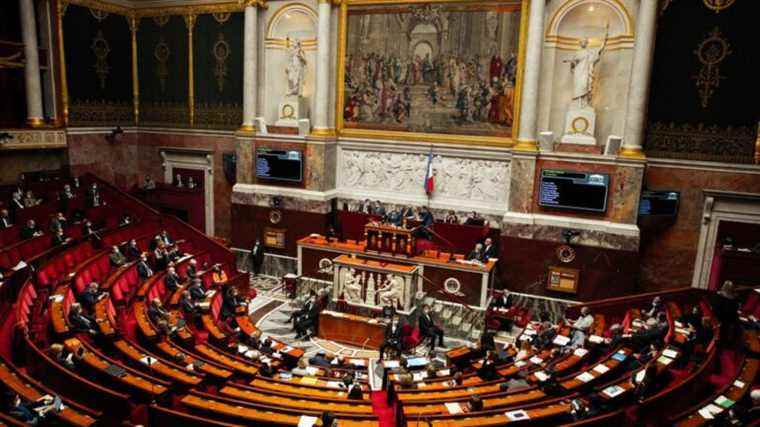 the deputies examine the vaccination pass at the National Assembly