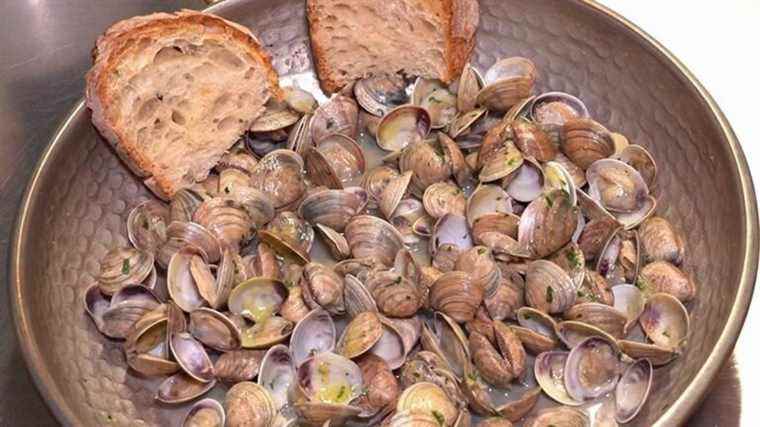 the “vongole” season is in full swing in Italy