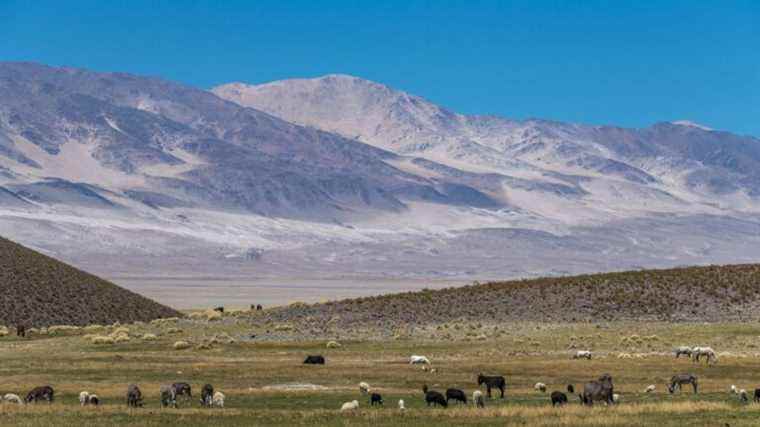 two French mountaineers wanted by rescuers in the Andes