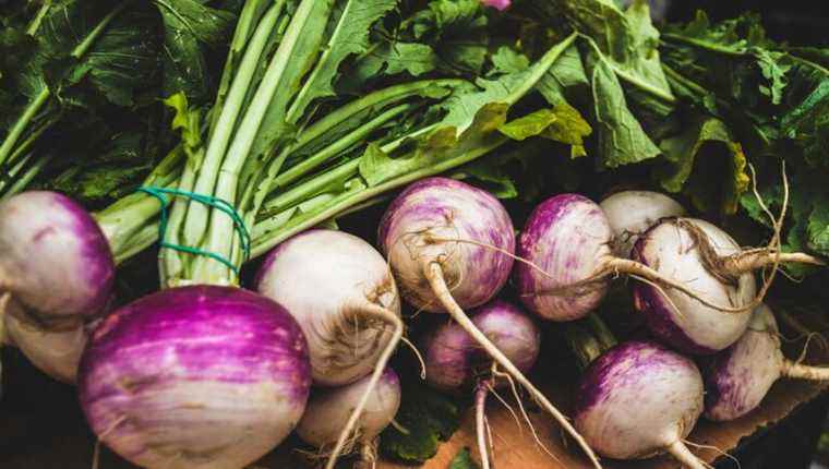 Salted turnips or “Süeri Rüewe” from Alsace