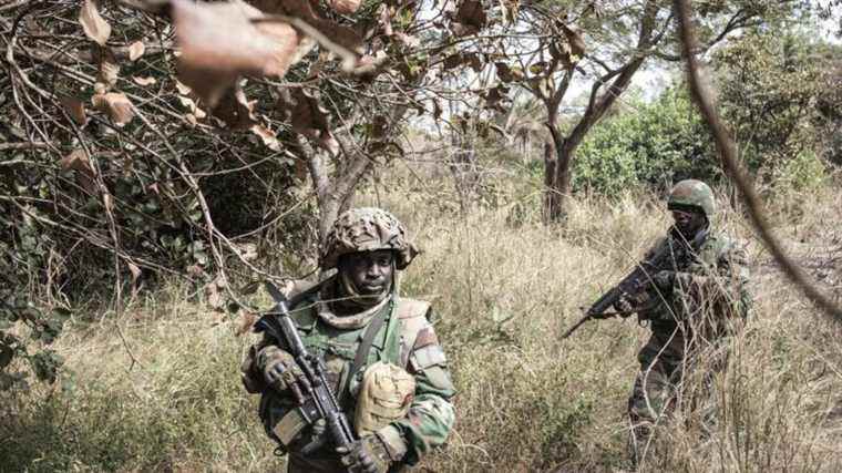 2 Senegalese soldiers killed, 9 missing, after a military operation against timber trafficking