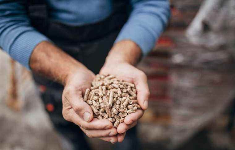 A French company gets its hands on La Granaudière