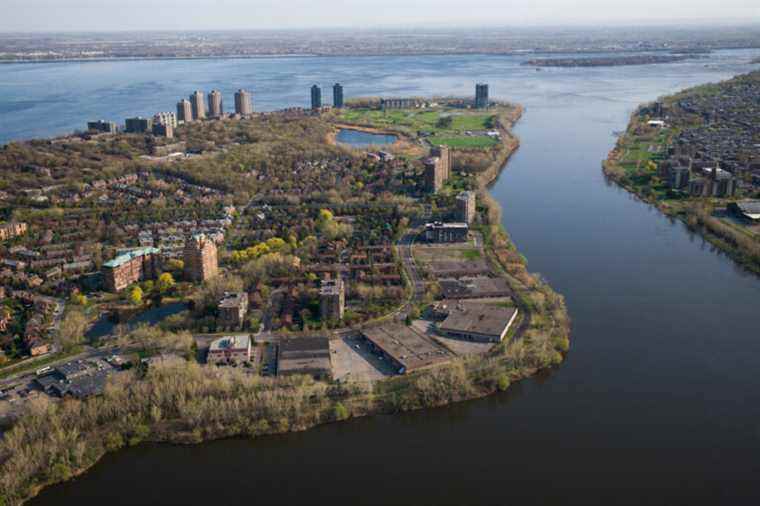 A new bridge could connect Île des Soeurs to Verdun