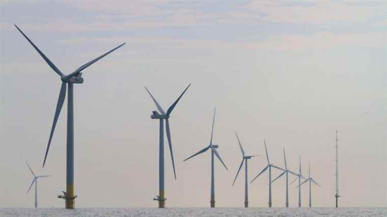 A new wind farm project off the coast of Normandy open to consultation