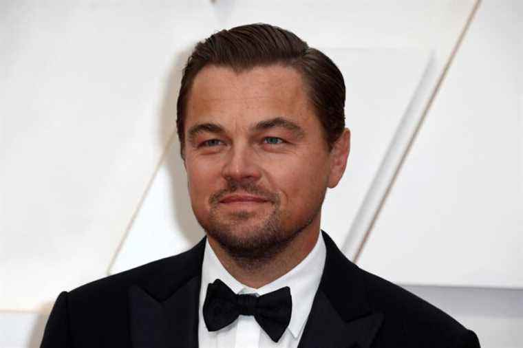 A tropical tree named after Leonardo DiCaprio