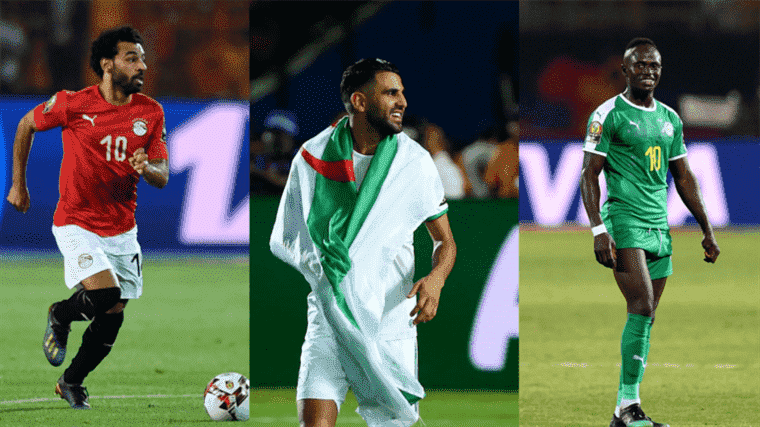 Algeria and Senegal favorites, vengeful Cameroon, Mohamed Salah eagerly awaited … What you need to know about the competition