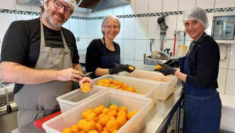 Aurélie ORSINI & Christophe GUEGUEN-MARCANTONI, Anatra modern cannery, Furiani