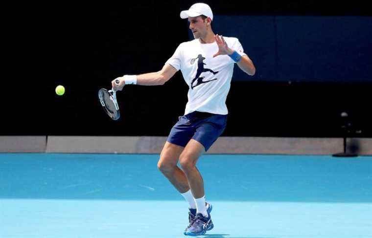 Australian tennis open: in Melbourne, Djokovic trains, but the suspense persists