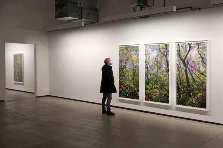 Blouin Division Gallery |  Canadian art at its best