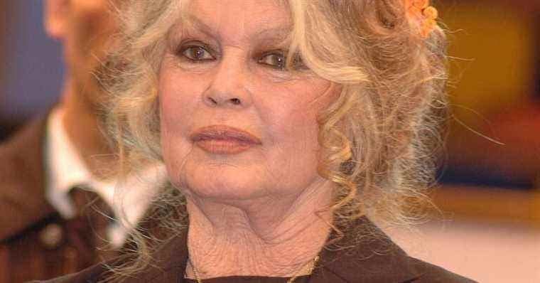 Brigitte Bardot cut off from all contact with her ex, Jean-Louis Trintignant and Sami Frey: she explains