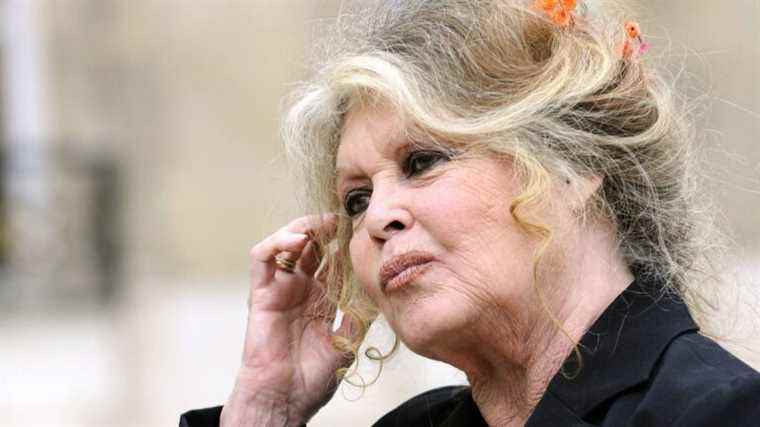 Brigitte Bardot does not want to be vaccinated against Covid