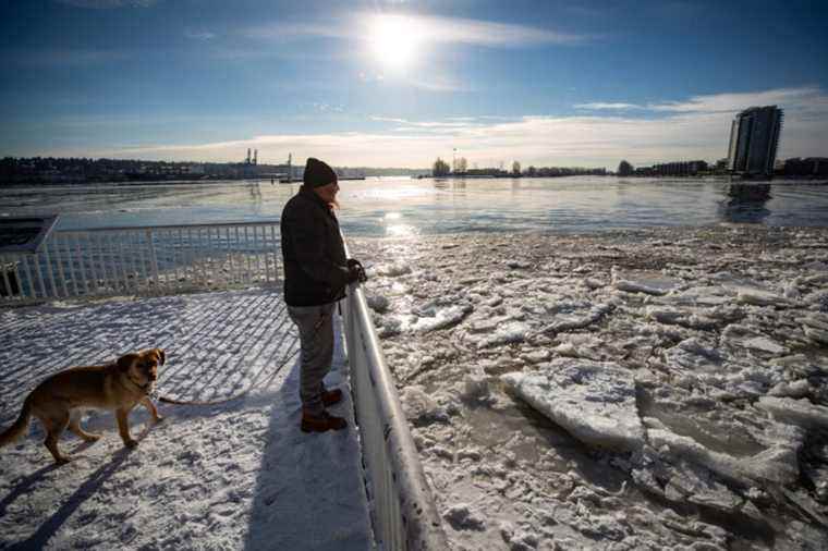 British Columbia |  After heat and floods, farmers face the cold