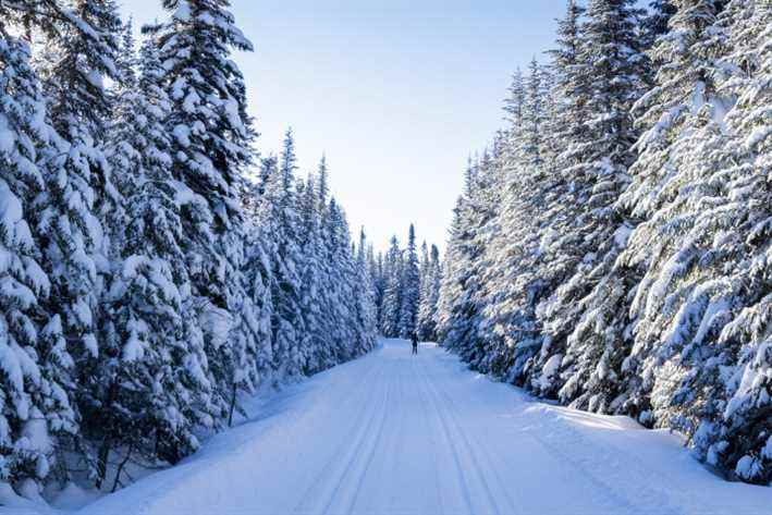 Camp Mercier |  In cross-country skiing paradise