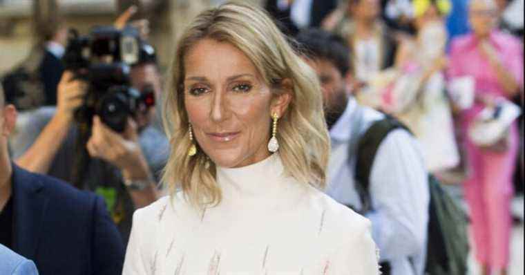 Celine Dion challenged by a TV host: he offers her a crazy project!