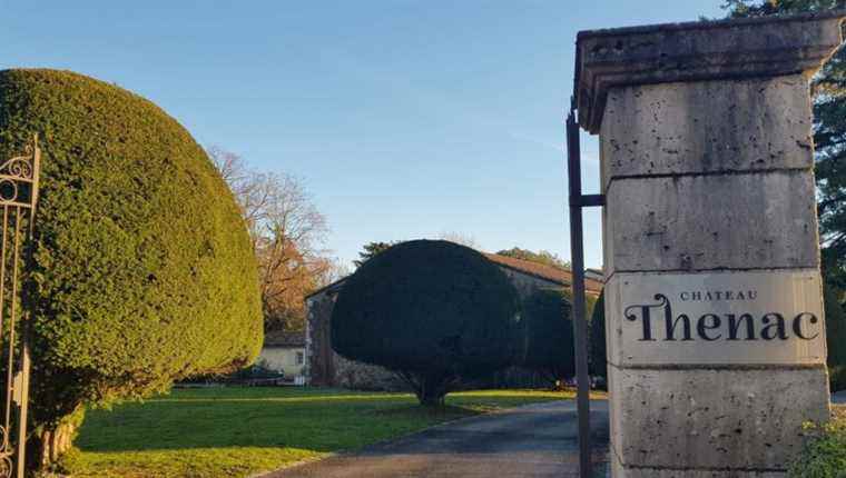 Château Thénac in Thénac