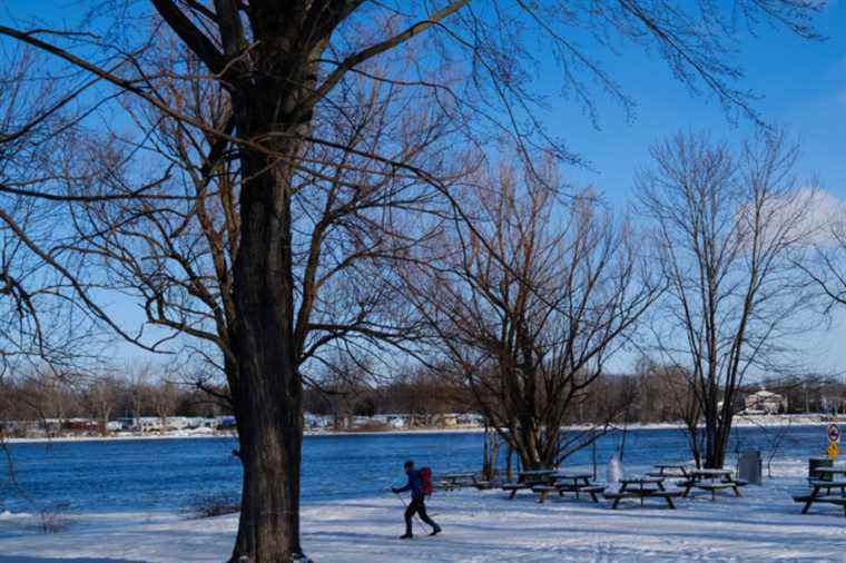 Cross-country skiing |  Exotic Cap-Saint-Jacques