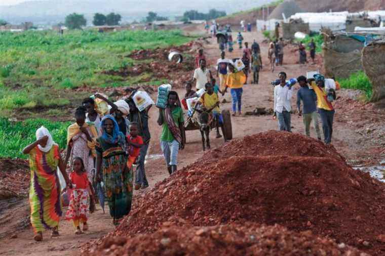 Deadly airstrike |  Humanitarian aid suspended in north-western Tigray