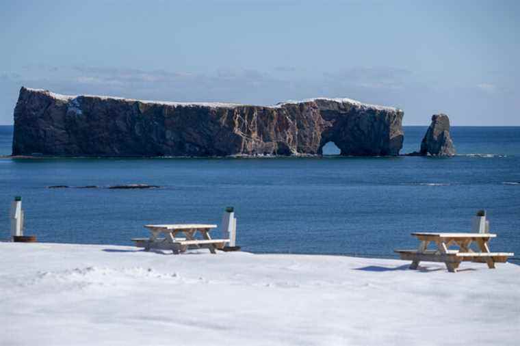 Demography |  Gaspésie has a record year