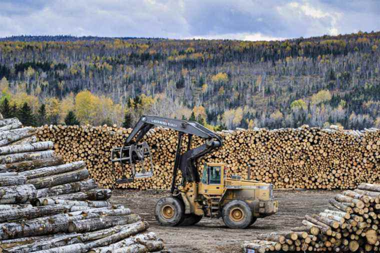 Demystifying the economy |  Who pays US taxes on Canadian softwood lumber?