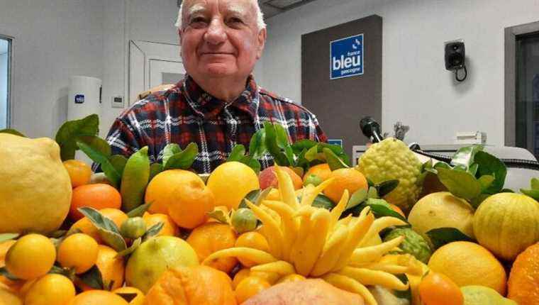 Discovering the citrus fruits of the nurseryman Michel Dufau in Eugénie-les-Bains